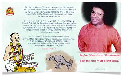 Sri Sathya Sai baba wallpapers - Ashadi Ekadashi 2020