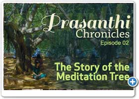 Prasanthi Chronicles - 02 | The Story of The Meditation Tree at Puttaparthi