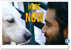 Here and Now