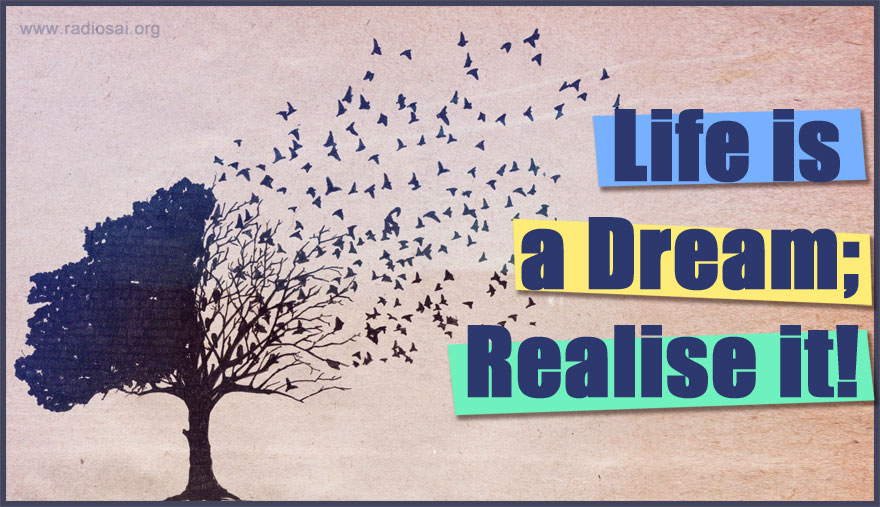 life is a dream realise it